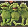 frogglover