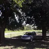 ricardo.medina40