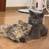 Milo Cat