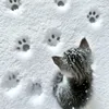 mixcat02