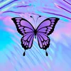 maly2425