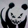pandita_agresivo1