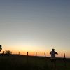 carlos.ferreira537