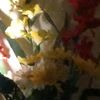 asyifa_920