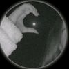 tota3.0.5