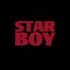 .the.quiet.boy