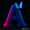 agather455