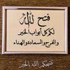 hanyelsayedmonir0
