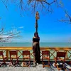 zoii_2910