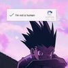 javi_meji