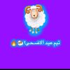 mashaquifzm