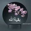 user140254488525