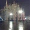 beausolei