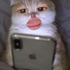 dinosauwuspink_