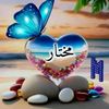 user478066762