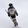 nmwarriors9_