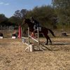 amber.equestrian012