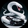 officialcarjunkie