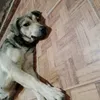 sebaolmos6