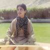 sajjad8960