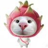 cham_3331