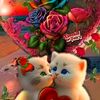 user33917816509