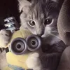 tdfjugcyvyyv