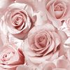 marwa00534