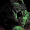 ыыы