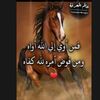 user7943768514429