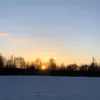 vilma_ni