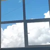 pusi_susi
