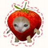 yenni031