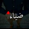 user9540400127066