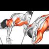 5min_fitness
