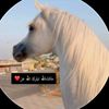 user3032365112134