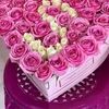 user4985019108531