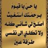 maesara12.2