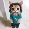 stevescat0