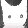 iamshadow...3