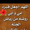 user4520497560274