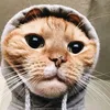 zakala85