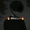 haso.m313