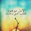 nouramohamed2760