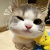 ina.hussein13