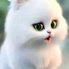 bnhamza26