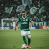 larciooliveira66