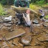 fisherman.69420