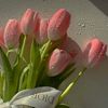 malak_mmm12