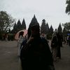 nyull_inn